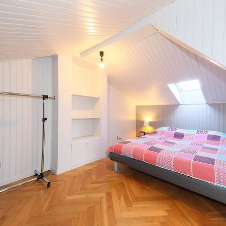 Duplex Atypique Proche Gare & Centre Ville Mulhouse Exterior photo